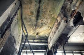 Asbestos and Lead Testing During Mold Inspection in East Uniontown, PA